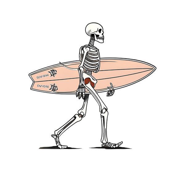 Masonboro Island Surf Shop